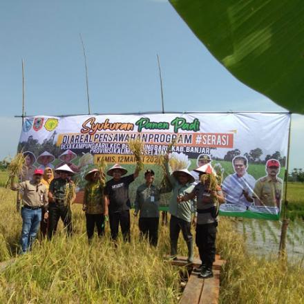 Panen Padi di Beruntung Baru, Peresmian SP3T Desa Salat Makmur
